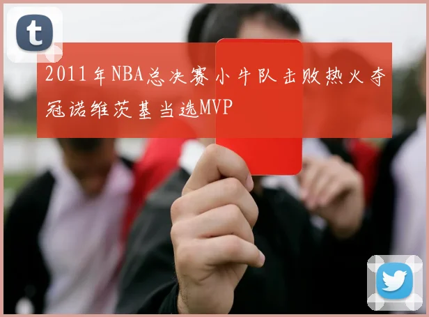 2011年NBA总决赛小牛队击败热火夺冠诺维茨基当选MVP