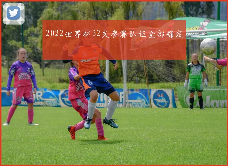 2022世界杯32支参赛队伍全部确定