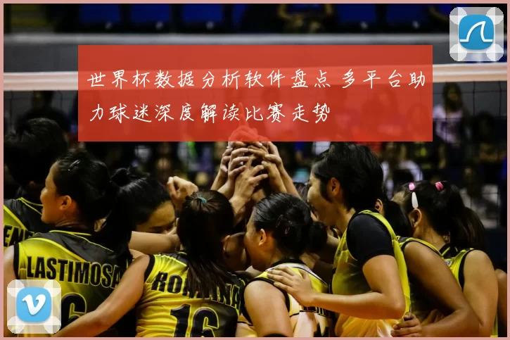 世界杯数据分析软件盘点 多平台助力球迷深度解读比赛走势