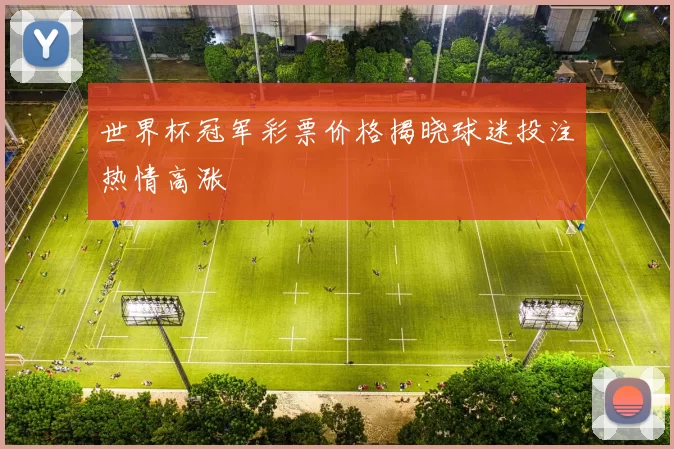 世界杯冠军彩票价格揭晓球迷投注热情高涨